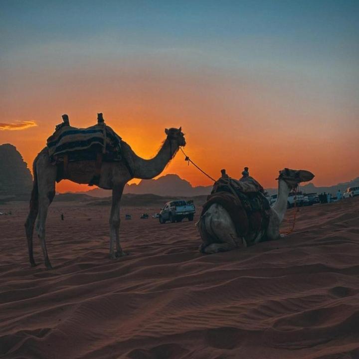 Mojo Camp, Wadi Rum Exterior photo